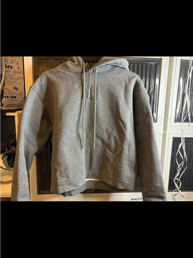 Alexander Wang Gray Embossed Logo Hoodie